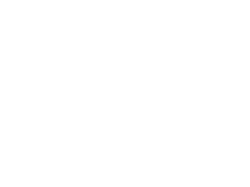 Ingrid Teodosiu 1